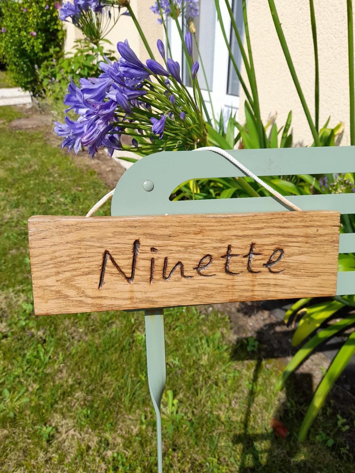 Maison De Vacances Ninette Névez Dış mekan fotoğraf